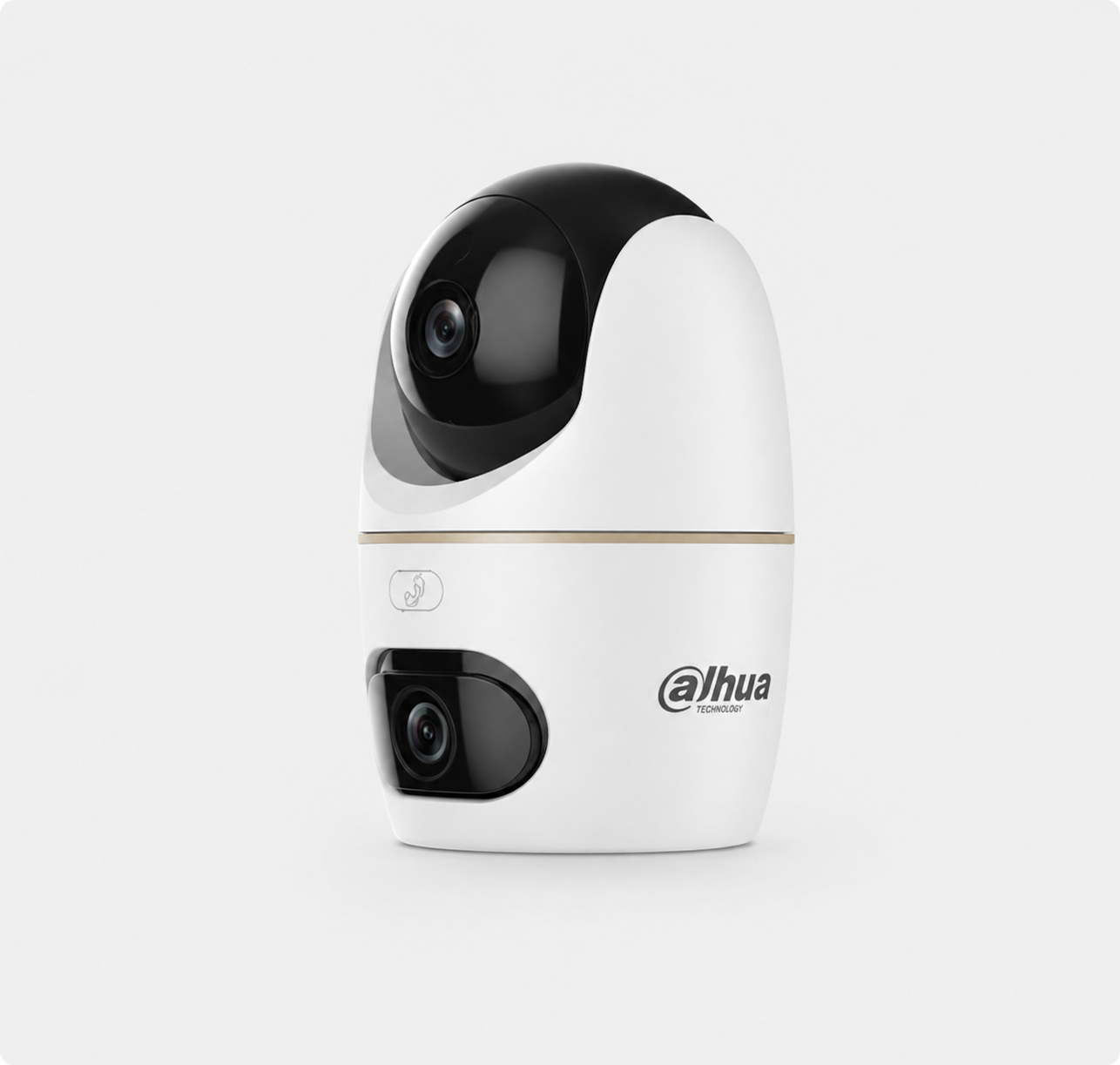 Dahua Dual-Lens Security Camera - Indoor Cameras